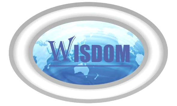 Wisdom Llc Wisdom - Nexus IN Groupe